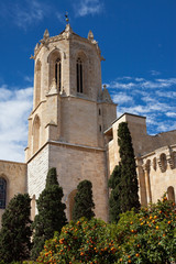 Fototapeta na wymiar Wieża katedry Tarragona