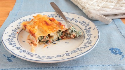 cannelloni with bechamel sauce