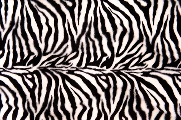 Gordijnen Zebrapatroon © mimagephotos
