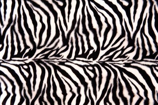 Fototapeta Zebra Pattern
