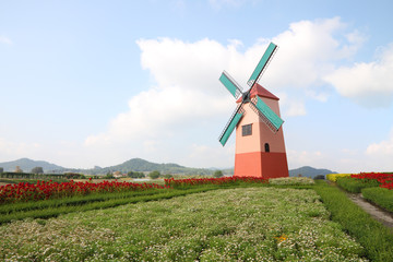 Dutch windmill on little flower garden.