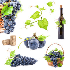 Collection of grapes, bottle and cork, Isolated on white