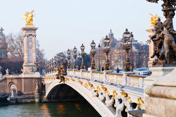 Pont alexandre iii in Paris