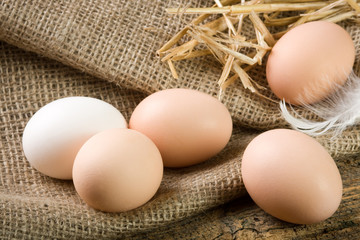Fresh eggs