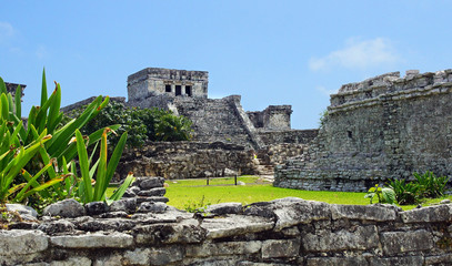 le fort de Tulum