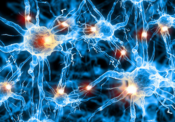 Illustration of a nerve cell - obrazy, fototapety, plakaty