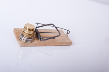 Mousetrap with money