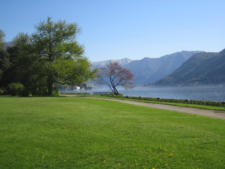 lakeside garden on como lake