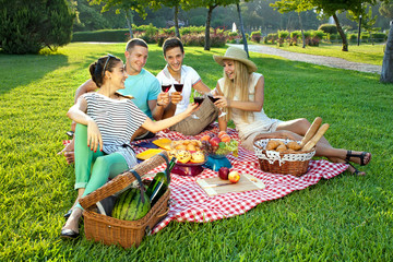 Young friends picnicking in the park
