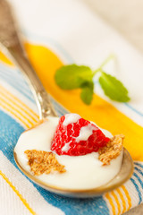 Strawberry pieces with cereals and yogurt in spoon