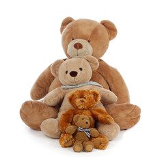 famille d'ours en peluche