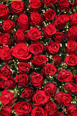 Red roses and small white berries