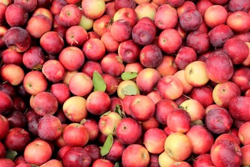 apple background