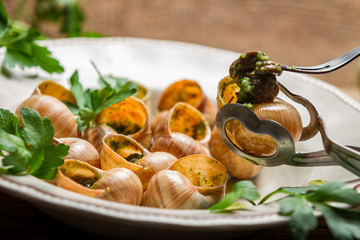 Eating the snail fried in butter with garlic and parsley