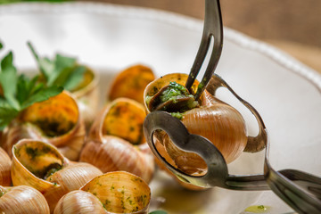 Closeup of consume snails fried in garlic sauce