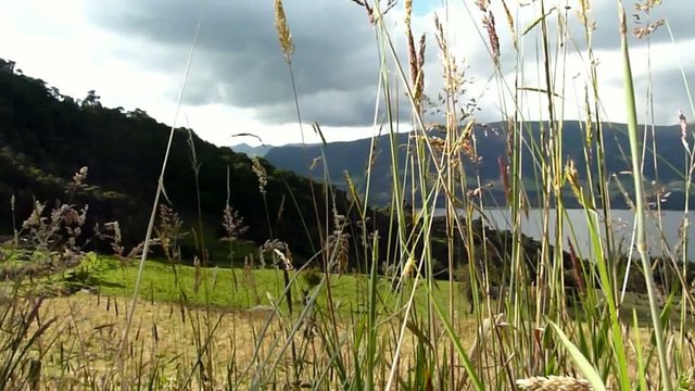 Viento, Paisaje, Aire Libre,