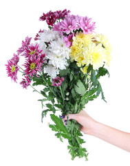 Bouquet of beautiful chrysanthemums in hand isolated on white