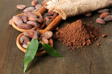 Cocoa beans in spoons and cocoa powder on wooden background