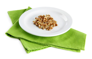 Wheat germs on plate isolated on white