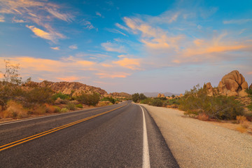 Joshua Tree National Park with road at sunset. USA. California.