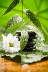Spa treatment.