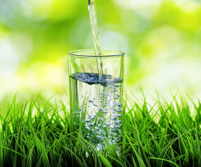 Glass of water on nature background
