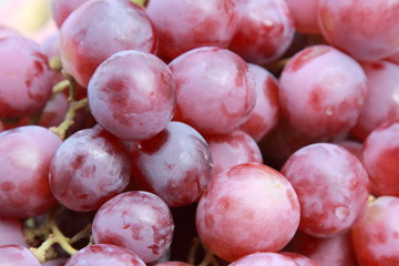 background of red grape