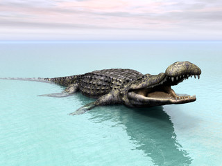 Obraz premium Crocodile at the Beach