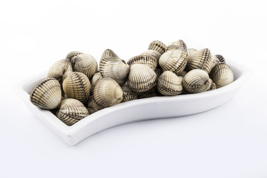 berberechos en un plato blanco