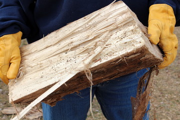Woman stacking seasoned wood
