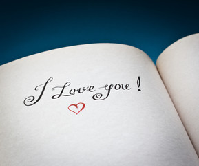 I love you words in the open book with blue background