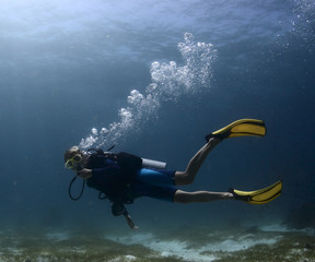 Diver