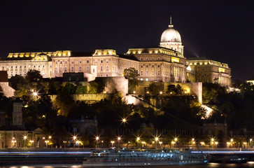 Fototapeta na wymiar The Royal Palace in Budapest, Hungrary