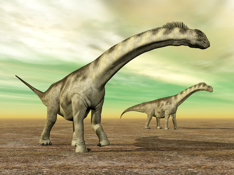 Dinosaur Camarasaurus