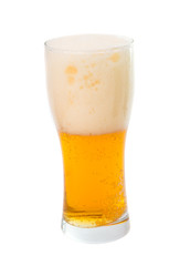 glass of beer isolated