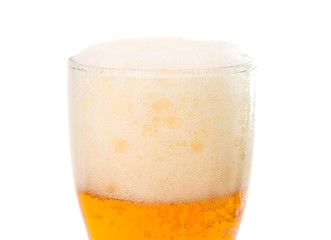 glass of beer isolated