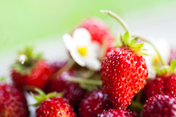 Ripe strawberries