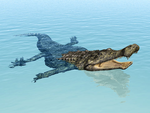 Crocodile Sarcosuchus