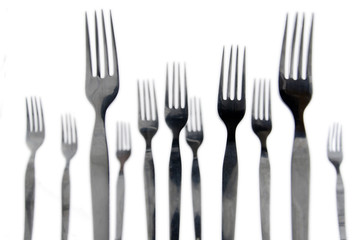 Forks