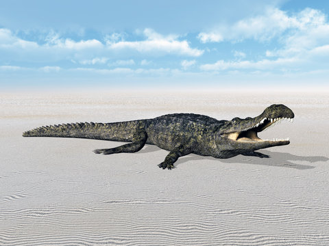 Crocodile Sarcosuchus