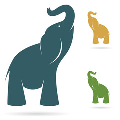 Vector image of an elephant on a white background