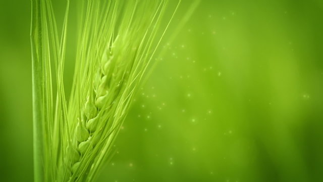 Summer background with particles