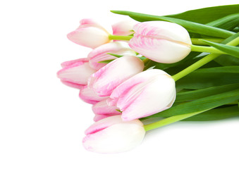 Pink tulips and easter egg