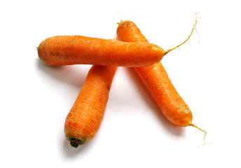 Carrot