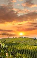 Foto op Canvas Chianti, beroemde wijngaard in Italië © Tomas Marek
