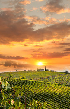Fototapeta Chianti, słynna winnica we Włoszech