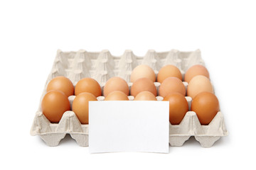 tray of eggs