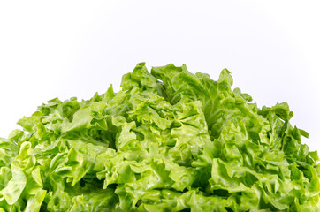 Texture of spring green lettuce leaves isolated on a white backg