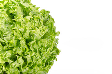 Texture of spring green lettuce leaves isolated on a white backg
