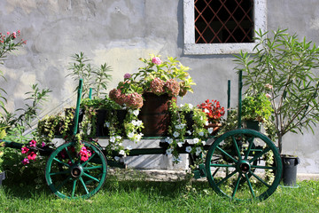 Fototapeta na wymiar Old wooden cart with colorful flowers